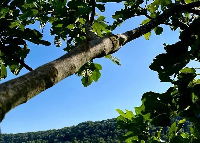 Farm stay Serresalentine *