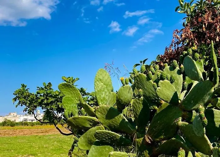 Farm stay Serresalentine Supersano